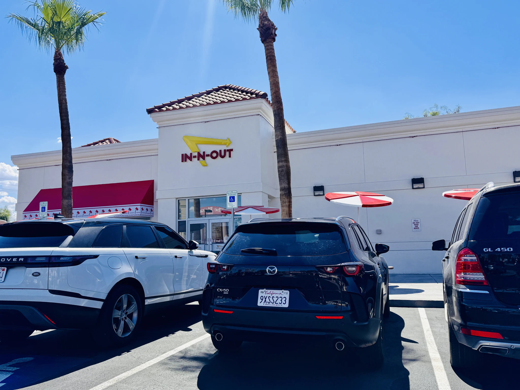 The exterior of an In-N-Out Burger under a cloudless blue sky, palm trees rising from the car park.